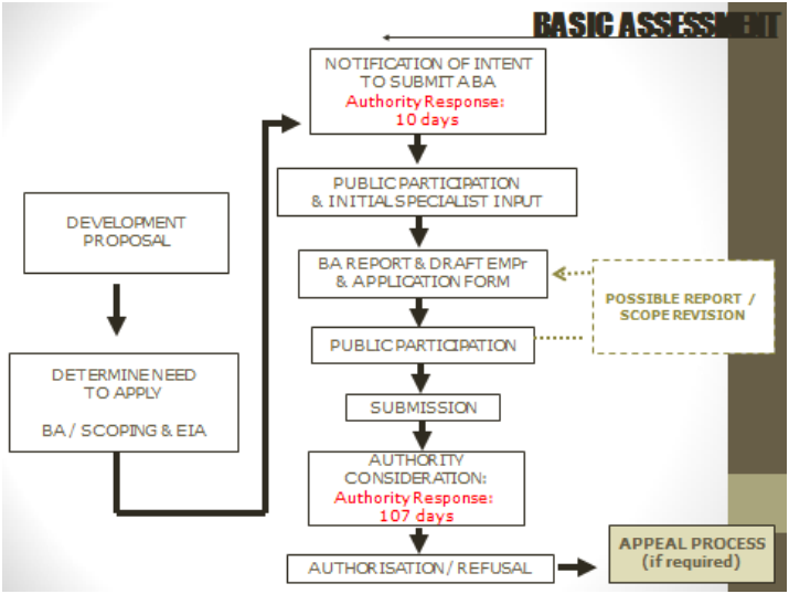 BA Process