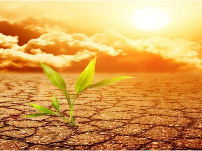 climatechnage-653x490