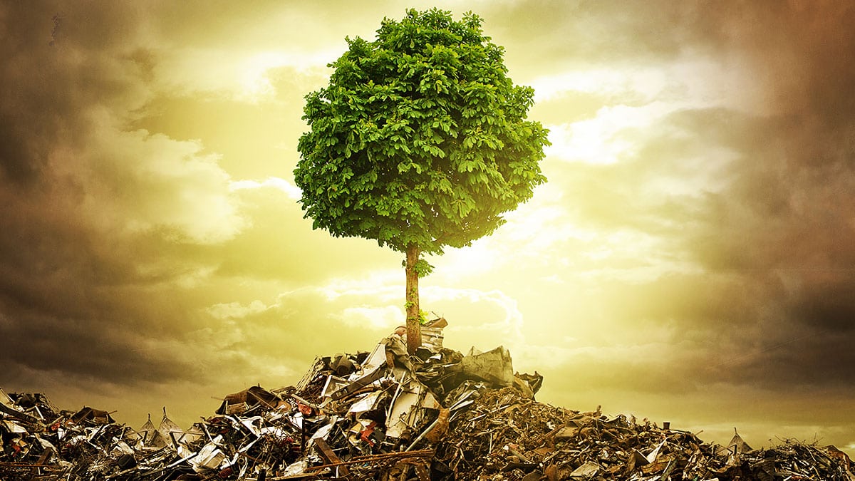 environmental-sustainability